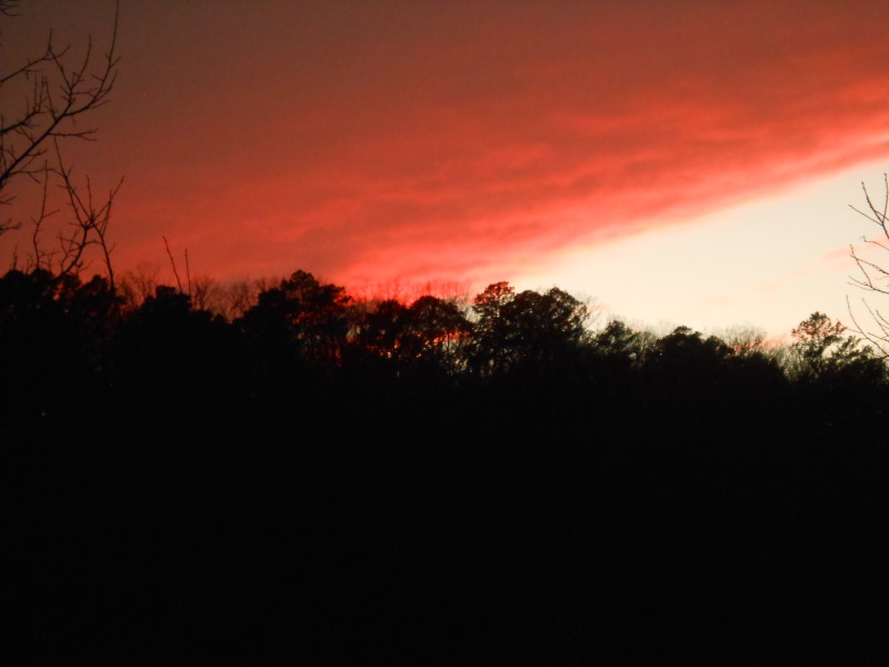 A Champion Sunset