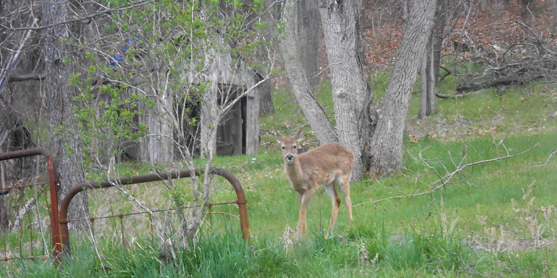 Caught noshing.