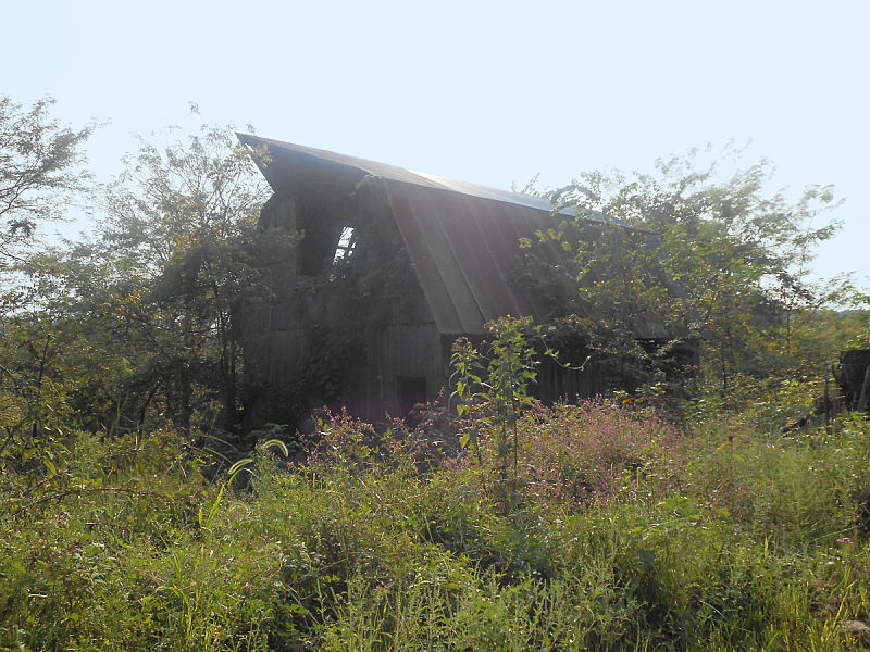 Orville's Barn