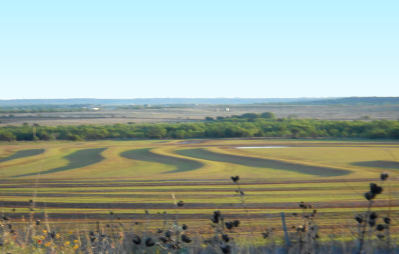Texas farmland