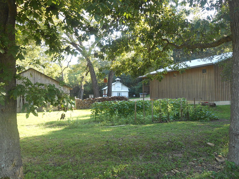 A Tidy Champion Garden