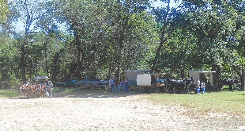 2016 Wagon Train