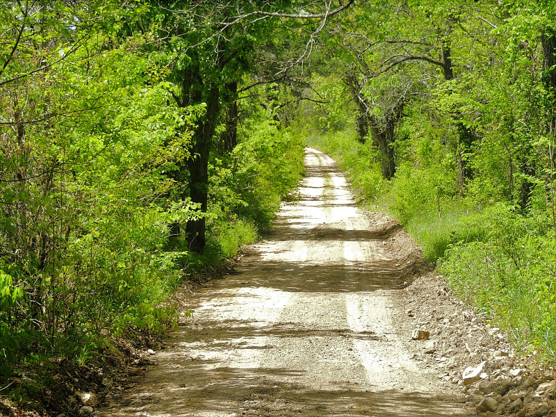 Cold Springs Road