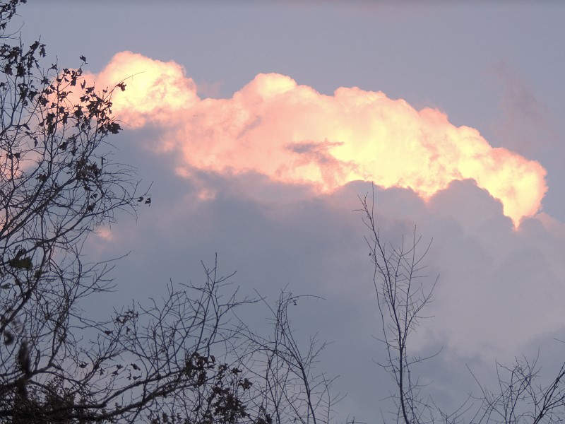 A Champion Sky