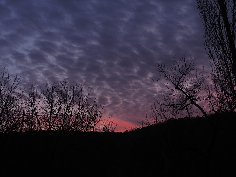 Champion Sunset