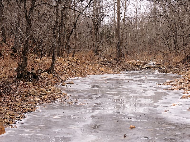 Frozen