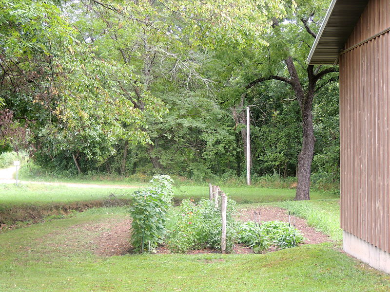 A Champion's Garden