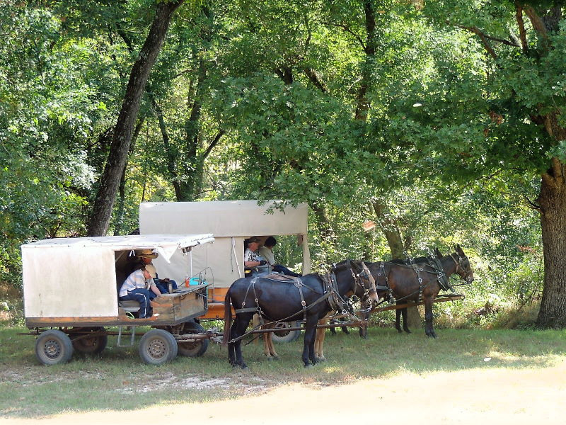 Wagons Ho!