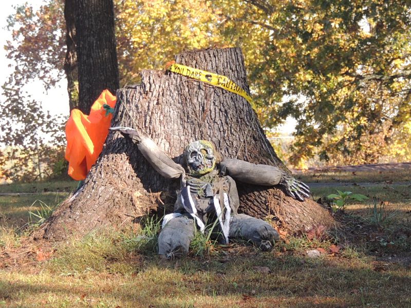 A Ghoul at School
