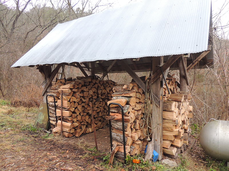 Champion Wood Shed