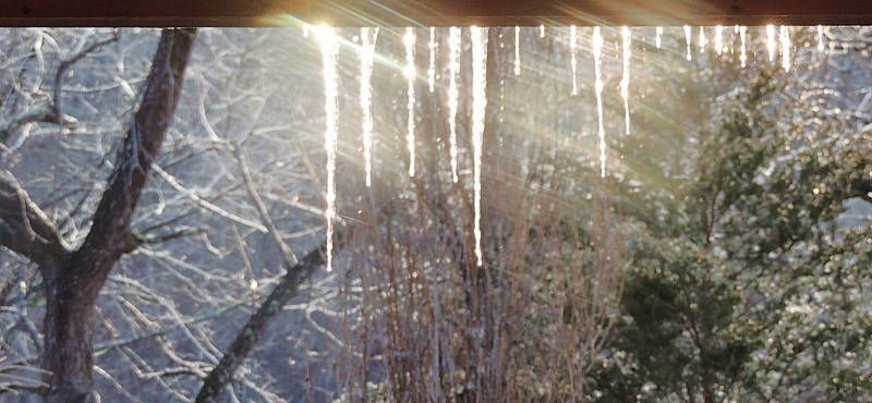 Champion sparkles!