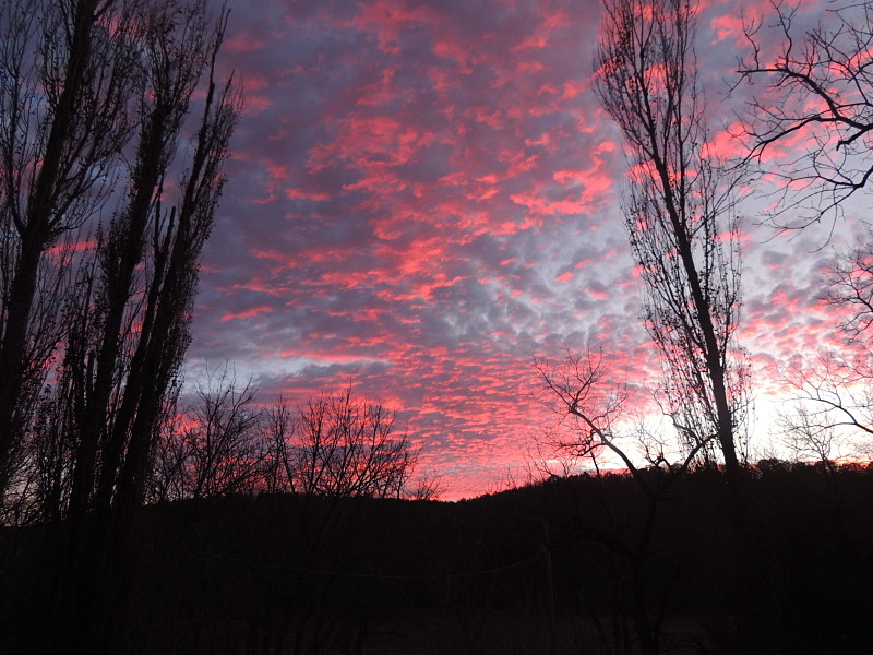 A Champion Sky