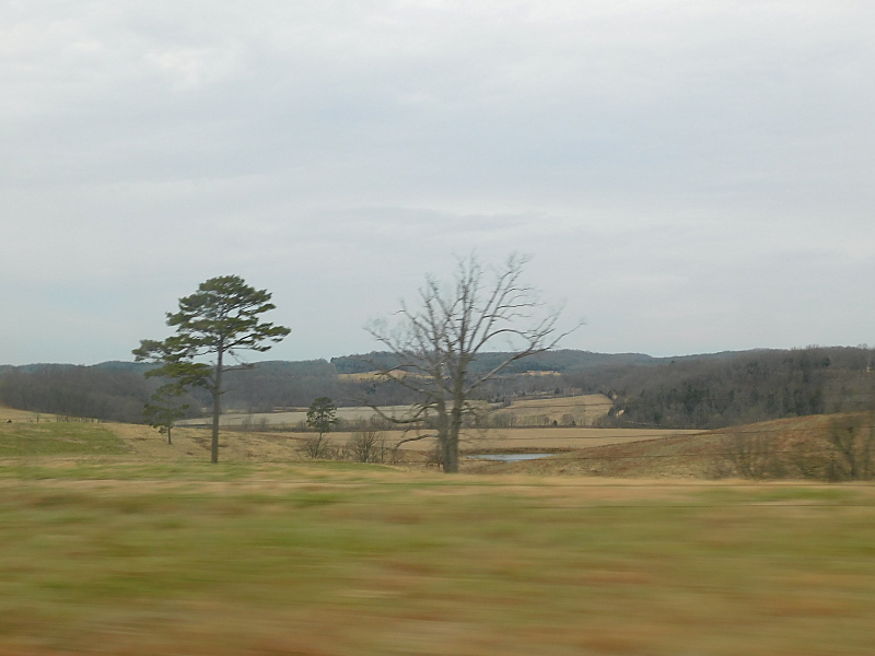 December Pasture
