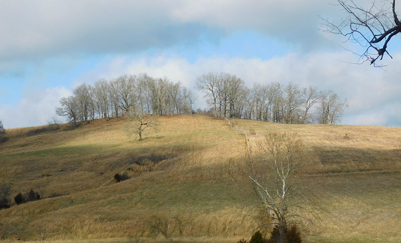 Champion Winter Fields