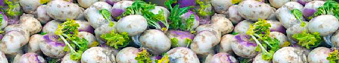 Turnips