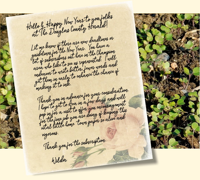 Turnip Seedlings