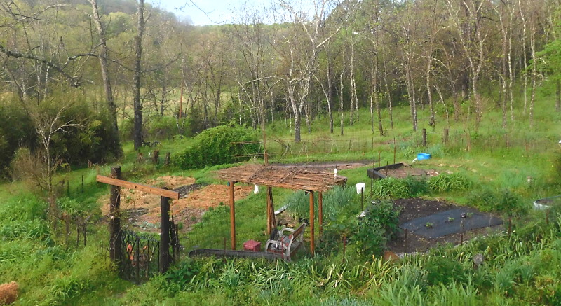 Champion Circle Garden