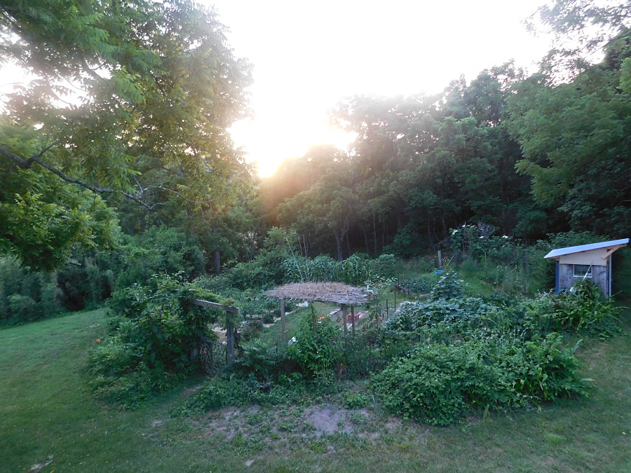 Champion Circle Garden