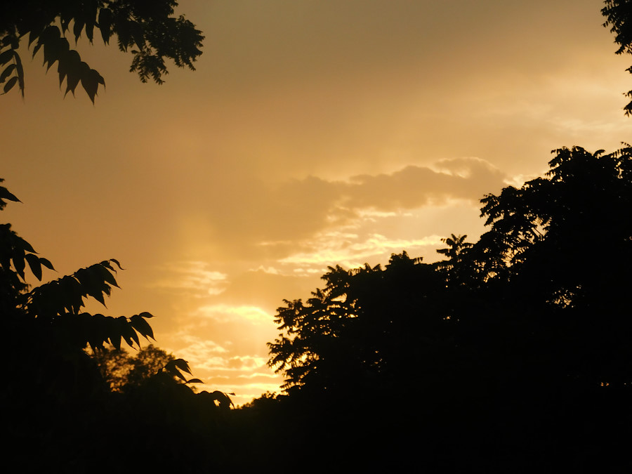 Champion Sky