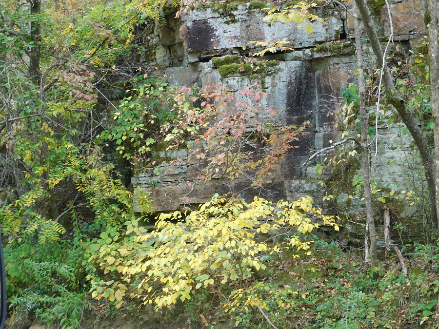 A Champion Fall