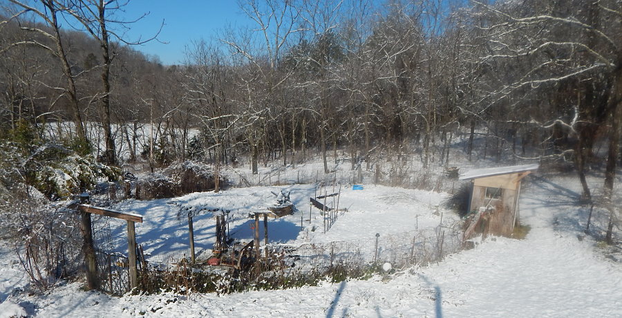 Champion Snow Garden Champion Snow Garden