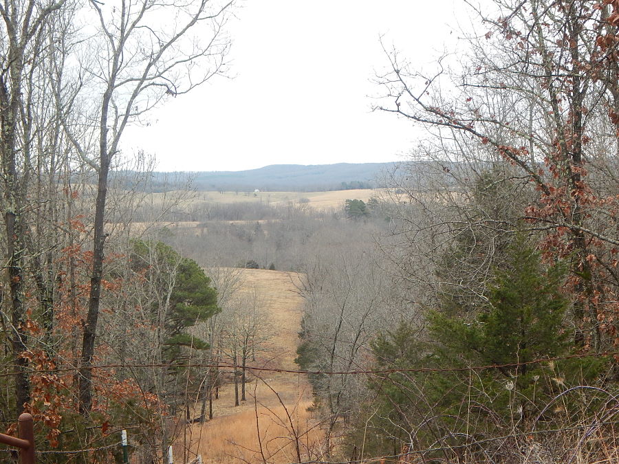 Ozark beauty. Ozark beauty.