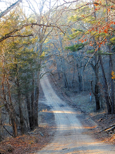 The Road Home