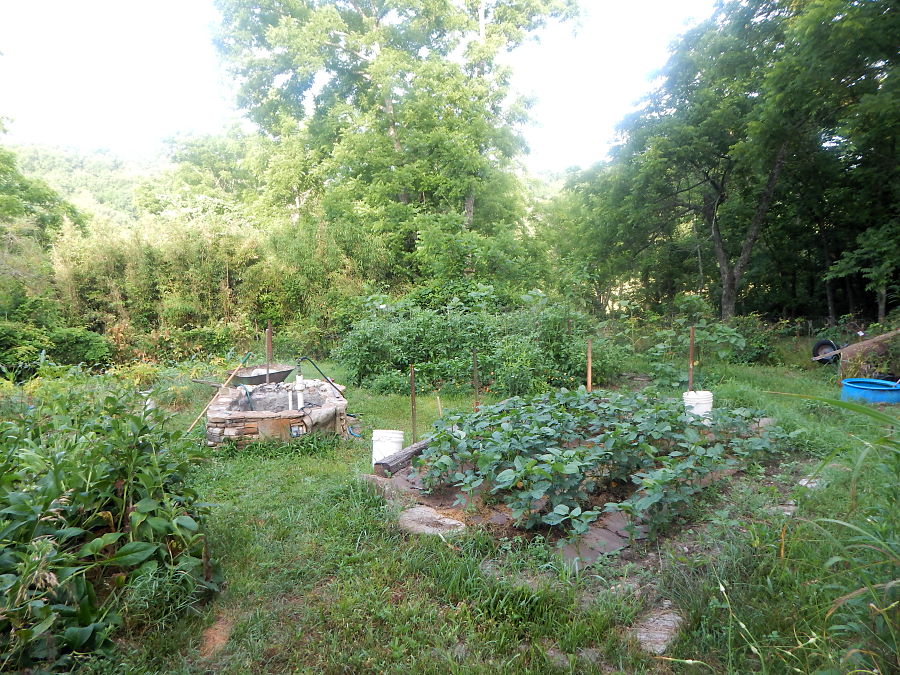 An Old Champion's Garden An Old Champion's Garden