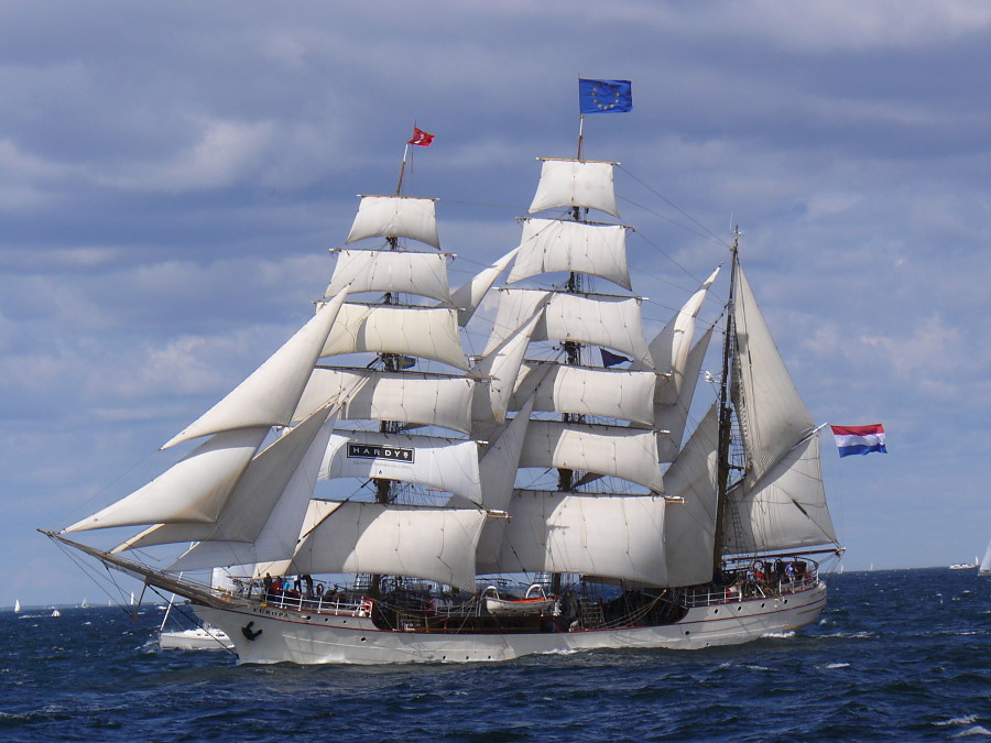 The Bark 'Europa' The Bark 'Europa'
