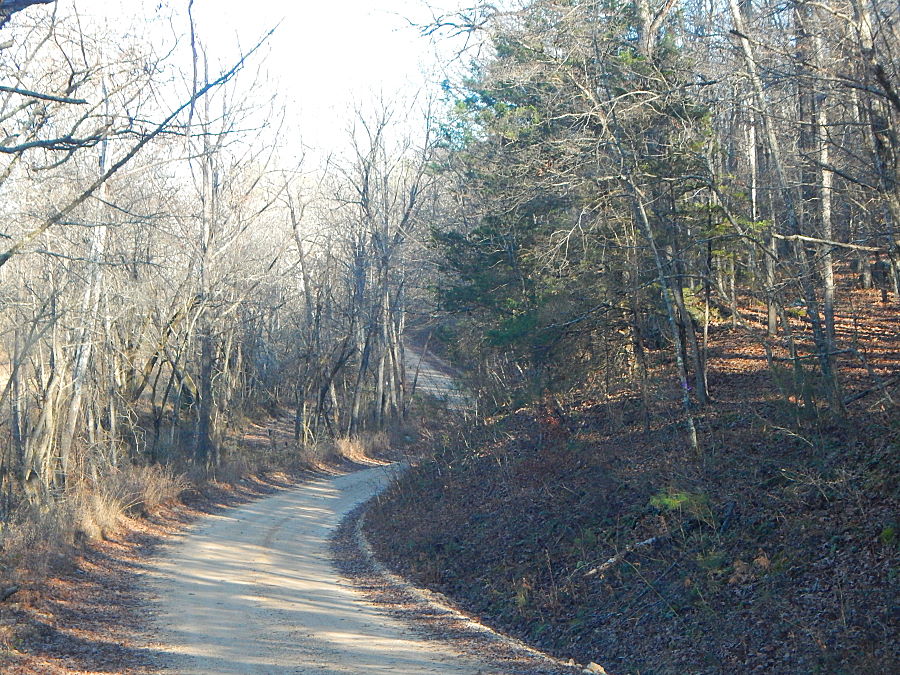 and through the woods... and through the woods...