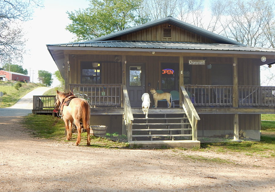 The Champion Store