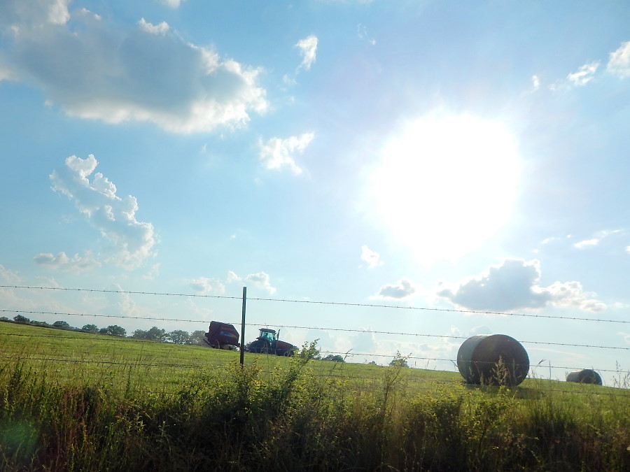 Making Hay